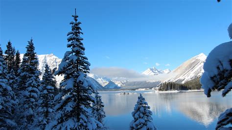 Lake Between Snow Covered Trees And Mountains K HD Nature Wallpapers HD Wallpapers ID