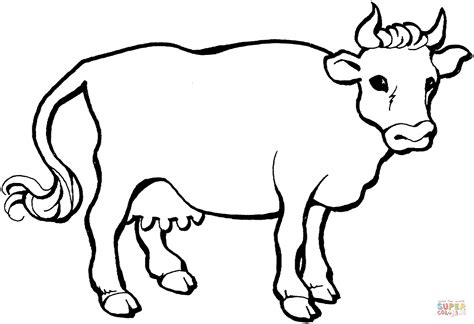 Cow 21 Coloring Page Free Printable Coloring Pages
