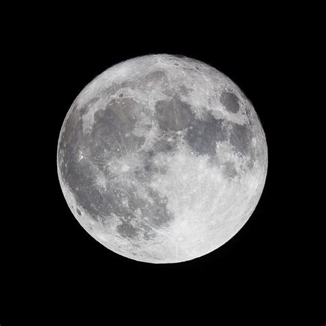 Stay safe everyone we're nearly out of. What Kind of Moon Clothes Are We Growing?
