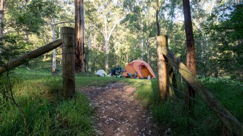 Euroka Campground Sydneys Best Bush Camping Experience The Life