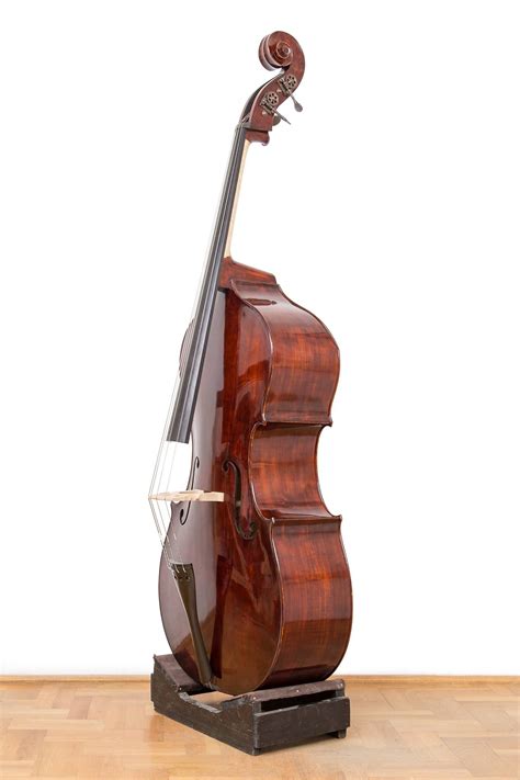 Double Bass Upright Bass Violin