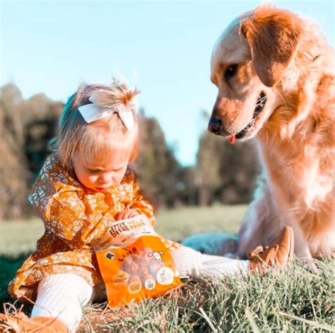 Baby Girl And Her Golden Retriever Are The Absolute Best Of Friends
