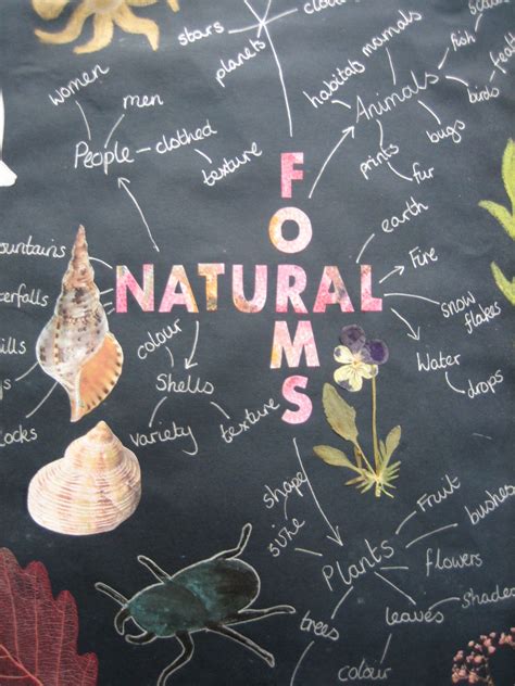 Natural Forms Mind Map Gadgets