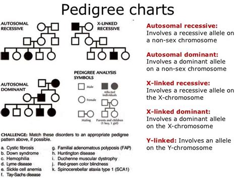 Pedigrees Lesson Genetics Lesson Pedigree Chart Medical School