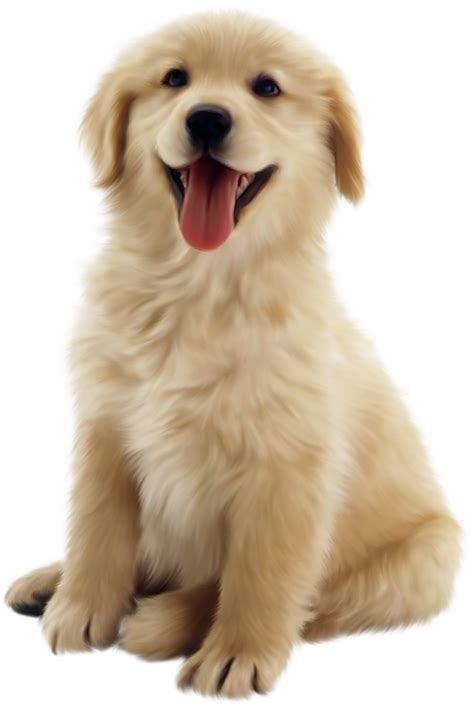 Dog Png 10 Png All Png All
