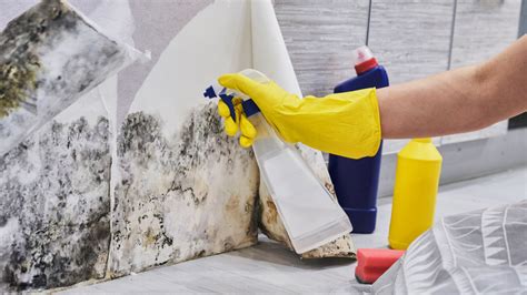 Mold In Homes Removal Methods Healthy Homes Housekeeping