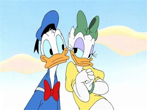 Bild Donald Duck And Daisy Wallpaper Donald Duck 6615837 1024 768 Disney Wiki Fandom