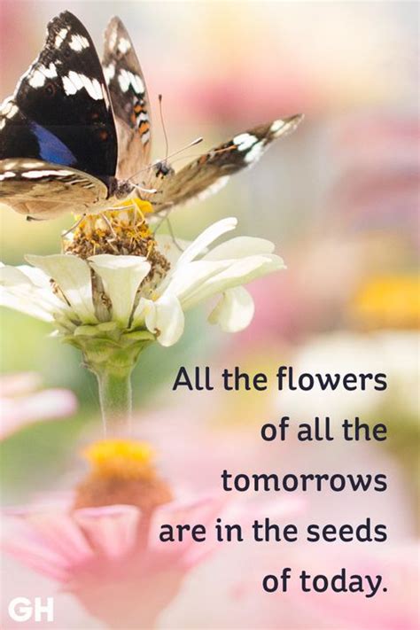 20 Happy Spring Quotes Sayings About Spring And Flowers