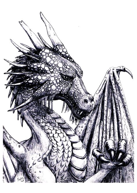 Download, color, and print these dragon coloring pages for free. Dragon - Dragons Adult Coloring Pages