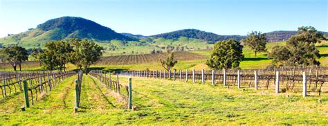 Thalia.de has been visited by 100k+ users in the past month Queens Pinch Vineyard, Mudgee, Australia