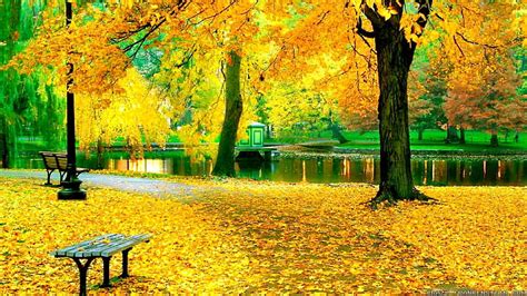 autumn park bench golden city fall beautiful walk park leaves rest trees autumn pond