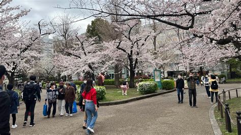 11 Great Things To Do In Ueno Why Is Ueno Park Famous I Ueno Park
