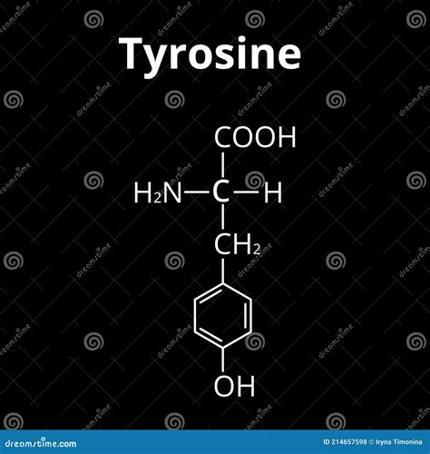 the amino acid tyrosine chemical molecular formula of tyrosine amino acid stock vector