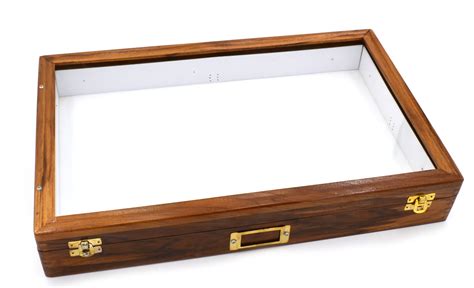 Insect Storage Box Polished Wood Eisco Labs