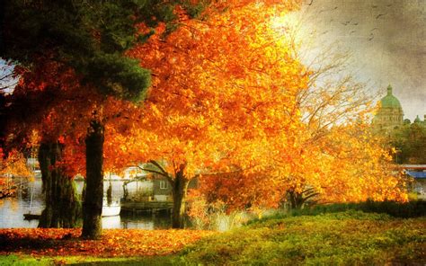 1000 Best Autumn Mac Wallpapers Free Hd Download Allmacwallpaper