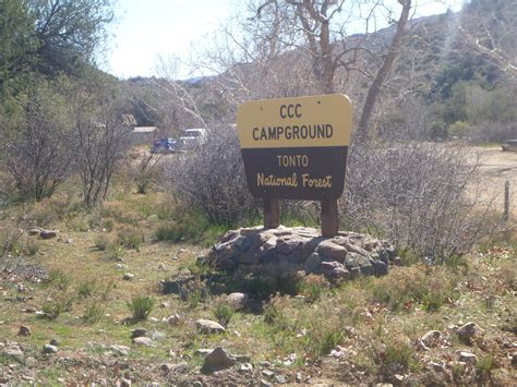 Black crappie, bluegill, brown bullhead, channel catfish, flathead. CCC Campground - Tonto National Forest