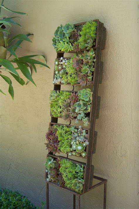 Favorite Diy Succulent Planter Wall Large White Hanging Outdoor