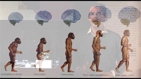 homo sapiens le nuove storie dell evoluzione umana in mostra al mudec di milano youtube