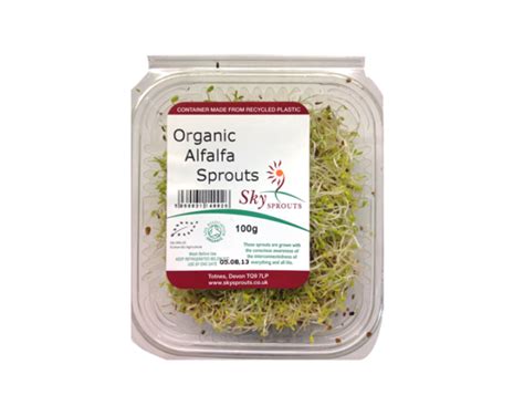 Alfalfa Sprouts 100g One Organic