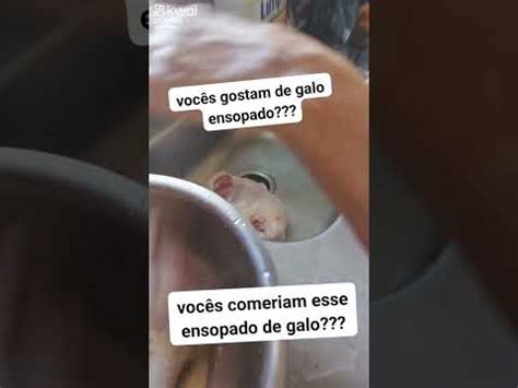 vocês comeriam essa comida YouTube