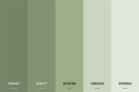 1 Sage Green Color Palette Color Palette With Reseda Green Hex