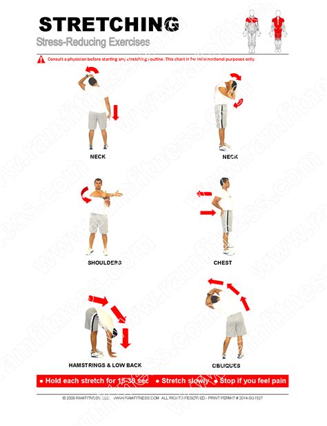 Stretching Chart Pdf Printable