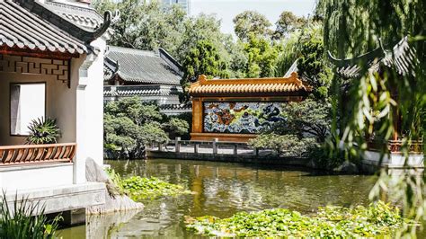Find images of chinese garden. The Teahouse in Sydney's Tranquil Chinese Garden of Friendship Has Been Taken Over by Lotus ...