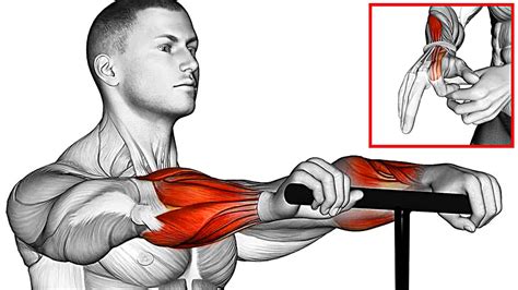 The Best 8 Forearm Exercises At Home