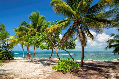 Key West The Best Activities Guided Tours And Museums Alltrippers