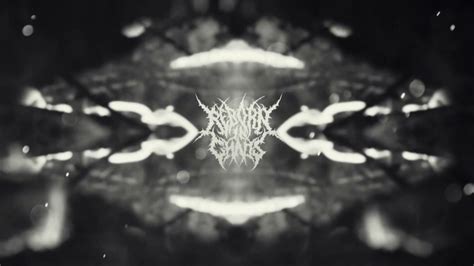 Reborn In Chaos - Embrace The Slaughter New Single 2020 (Official