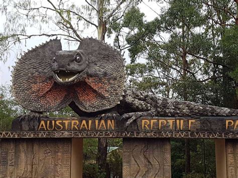 Australian Reptile Park 1067x800 Product Reviews Australia