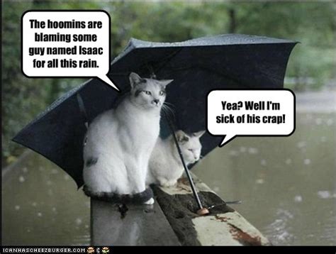 Download Funny Images Rain