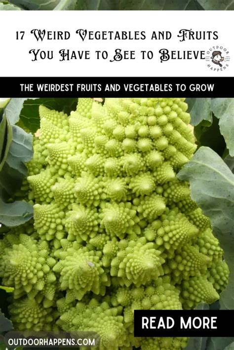 17 Weird Vegetables And Fruits You Have To See To Believe Outdoor Happens