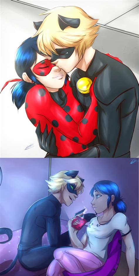Chat Noir And Ladybug Chat Noir And Marinette Miraculous Ladybug