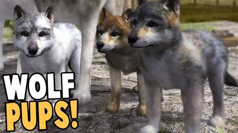 Raising Wolf Pups Best Wolf Simulator Game Ever Wolf Quest Gameplay