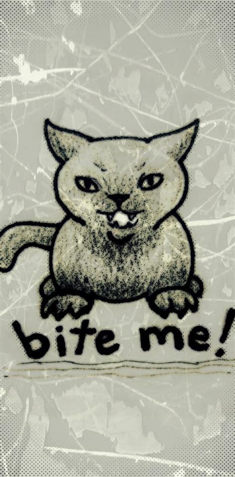 Bite Me Cat Wallpaper By 1artfulangel 08cd Free On Zedge