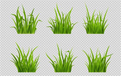 Realistic Green Grass Patches On Gray Background 17427916 Vector Art At
