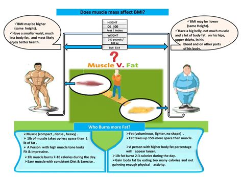 Bmi Calculator Does Not Account For Muscle Aljism Blog