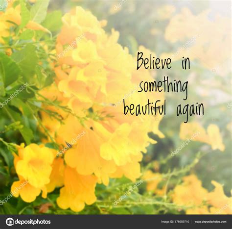 Inspirational Quote Blurred Flowers Background Believe