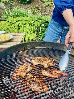 Dog Days In Lansing Find Your Best Friend On Craigslist Pets