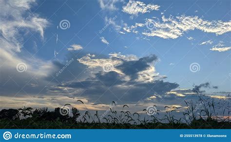 Farm Fields And Clouds Stock Photo Image Of Plant Field 255513978