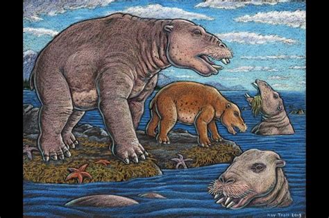 Giant Extinct Mammal Identified From Unalaska Fossils