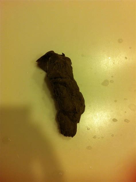 How To Make Fake Poop Bc Guides