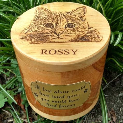 Pet Urns For Cats Cats Urns Cat Remembrance T Pet Cremation Urns