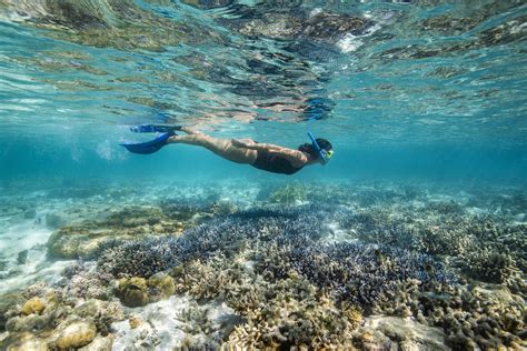 The Ultimate Guide To Snorkelling