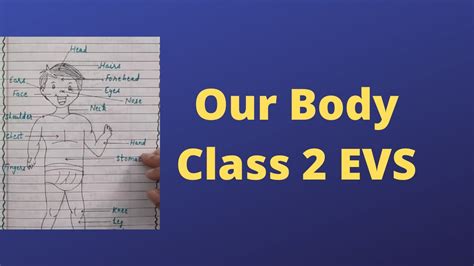 Our Body Class 2 Evs Body Parts Science Internal Parts Of Body