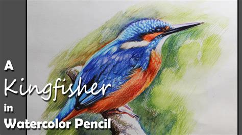 Painting the pigment directly on the brush works just like watercolor paints. How to Paint A Kingfisher in Watercolor Pencil - YouTube