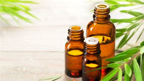 Tea Tree Oil For Hair 5 Benefits Of The Essential Oil You Cant Ignore