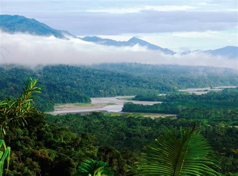 New Peruvian Rainforest Adventures How To Spend It