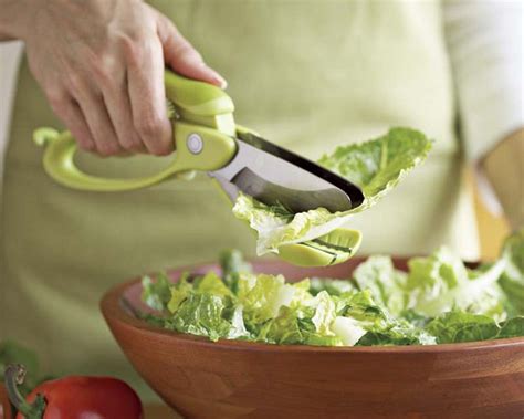 15 Best Gadgets For Salad Preparation